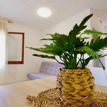 V&v Lloret: Garden With Pool, 150m From Canyelles