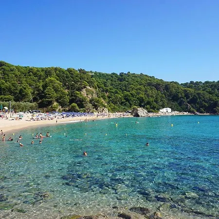 V&v Lloret: Garden With Pool, 150m From Canyelles Apartment *