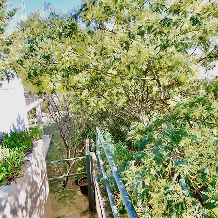 V&v Lloret: Garden With Pool, 150m From Canyelles Apartment *