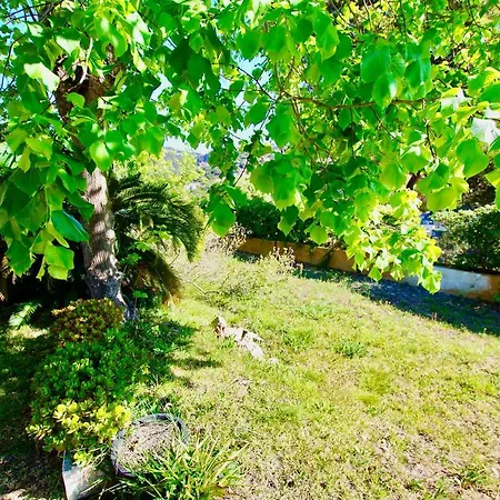 Apartment V&v Lloret: Garden With Pool, 150m From Canyelles *