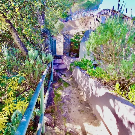 V&v Lloret: Garden With Pool, 150m From Canyelles Apartment *